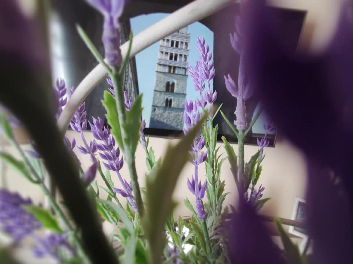 Borgo In Citta Apartment Pistoia Exterior foto